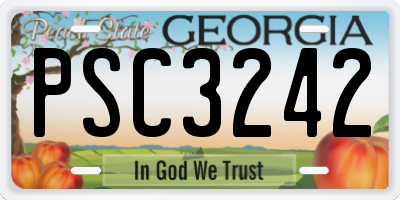 GA license plate PSC3242
