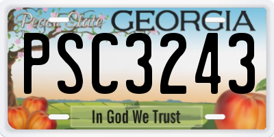 GA license plate PSC3243