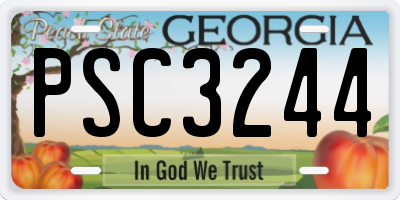 GA license plate PSC3244