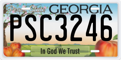 GA license plate PSC3246
