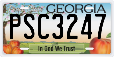 GA license plate PSC3247
