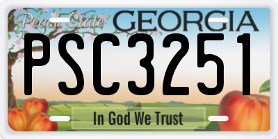 GA license plate PSC3251