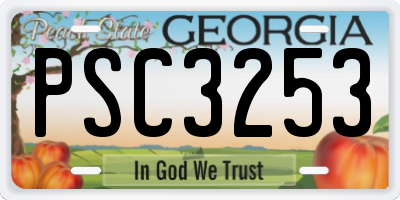 GA license plate PSC3253