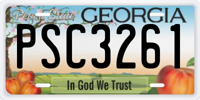 GA license plate PSC3261