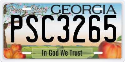 GA license plate PSC3265