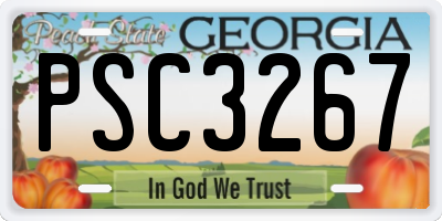 GA license plate PSC3267
