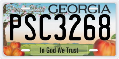 GA license plate PSC3268