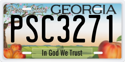 GA license plate PSC3271