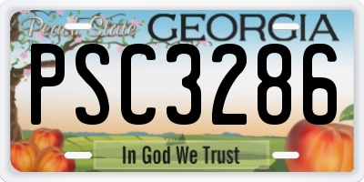 GA license plate PSC3286