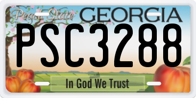 GA license plate PSC3288
