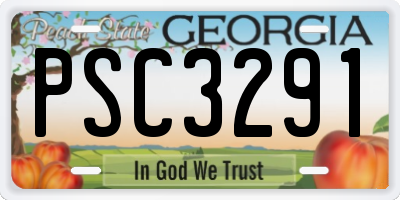 GA license plate PSC3291