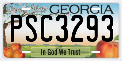 GA license plate PSC3293