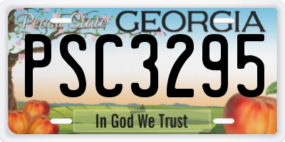 GA license plate PSC3295