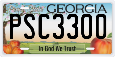 GA license plate PSC3300