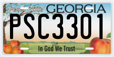 GA license plate PSC3301