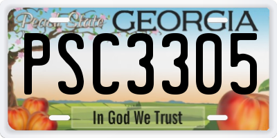 GA license plate PSC3305
