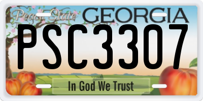 GA license plate PSC3307