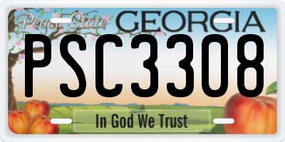 GA license plate PSC3308