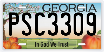 GA license plate PSC3309