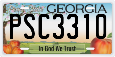 GA license plate PSC3310