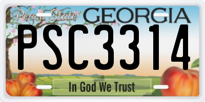 GA license plate PSC3314