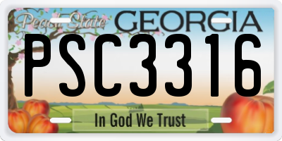GA license plate PSC3316