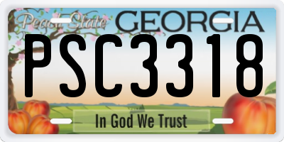 GA license plate PSC3318