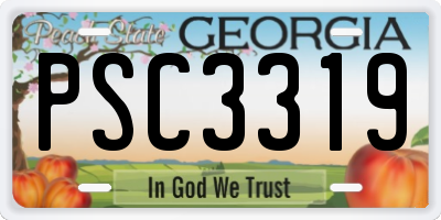 GA license plate PSC3319