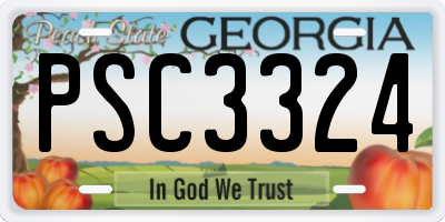 GA license plate PSC3324