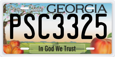 GA license plate PSC3325