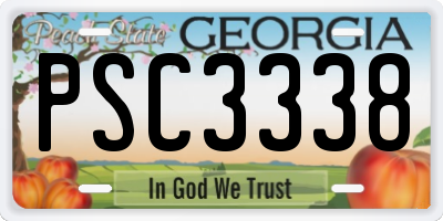 GA license plate PSC3338