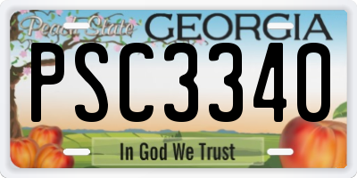 GA license plate PSC3340
