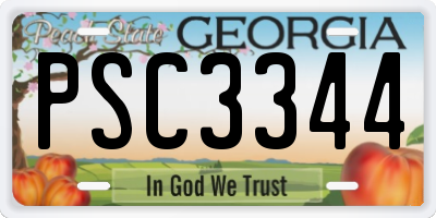 GA license plate PSC3344