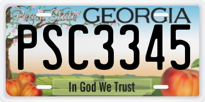 GA license plate PSC3345