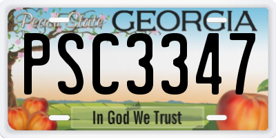 GA license plate PSC3347