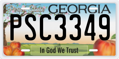 GA license plate PSC3349