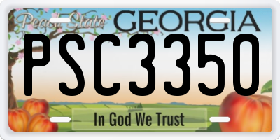 GA license plate PSC3350