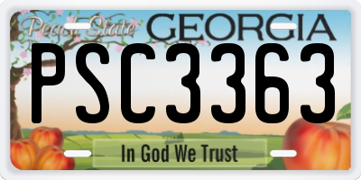GA license plate PSC3363