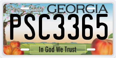 GA license plate PSC3365
