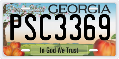 GA license plate PSC3369