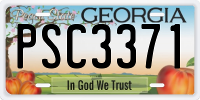 GA license plate PSC3371