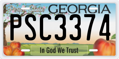GA license plate PSC3374