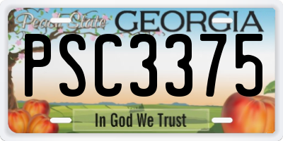 GA license plate PSC3375