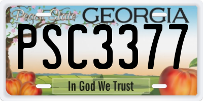GA license plate PSC3377