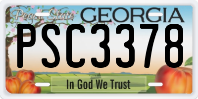 GA license plate PSC3378