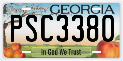 GA license plate PSC3380