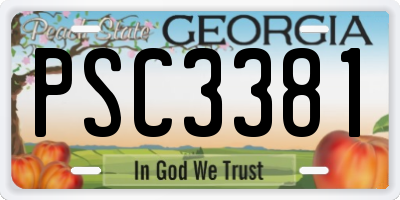 GA license plate PSC3381