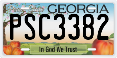 GA license plate PSC3382