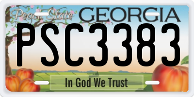 GA license plate PSC3383