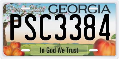 GA license plate PSC3384